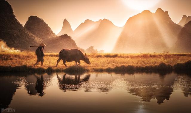 三个牛是什么字，三个牛是什么字拼音（在甲骨文中是这样写的）