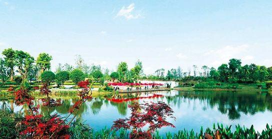 动物界三大流氓，动物界的三大奇葩生物（小时候遇到的动物界“恶霸”）