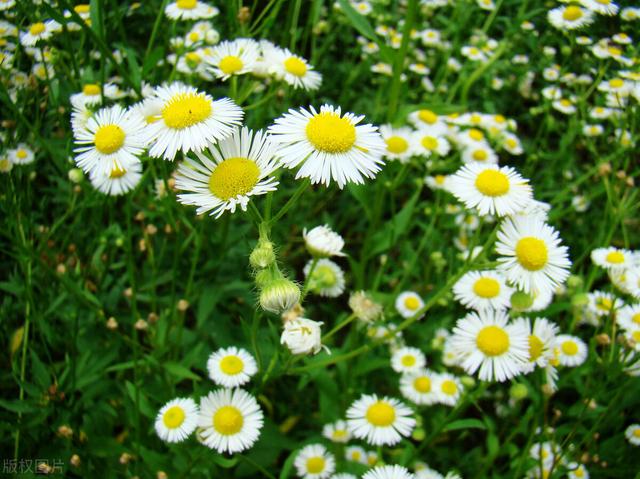 乐观心态的说说，乐观心态的说说短句（保持乐观心态的治愈系语录）