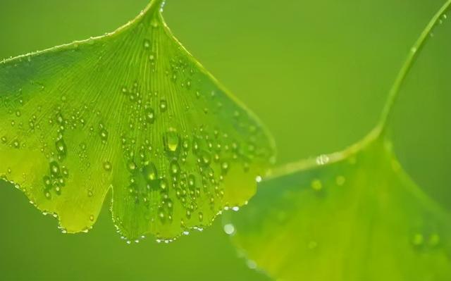 心理学突然喜欢红色，心理学突然喜欢红色的衣服（颜色背后的心理学）
