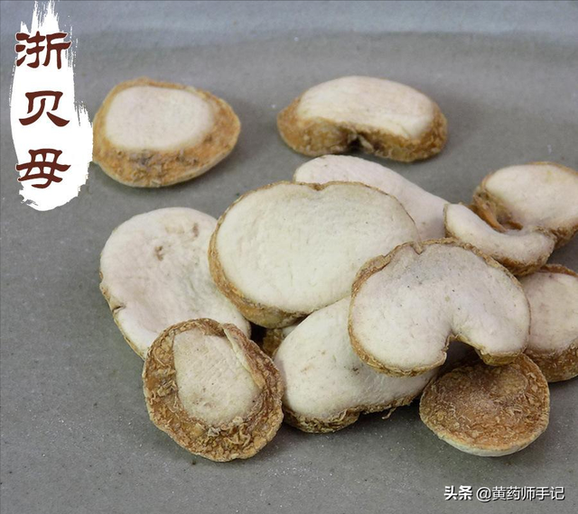 浙贝母的功效与作用，浙贝母的功效与作用及用量（浙贝还用于肿块郁结、乳腺增生、胃溃疡）