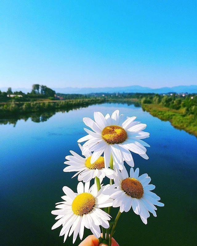 鼓励别人挣钱的话，鼓励别人挣钱的说说（早安心语赚钱感悟）