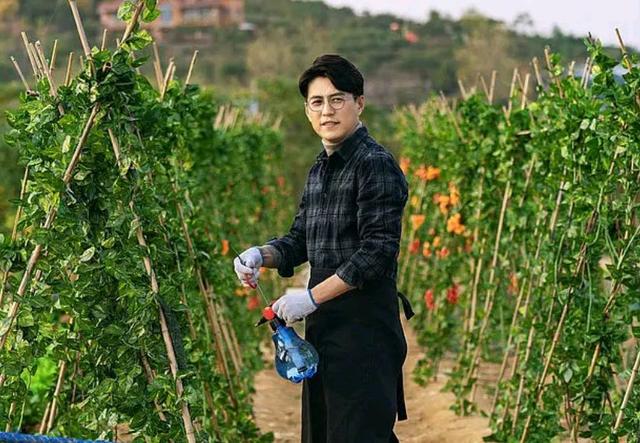 良心电视剧，良心电视剧推荐（开播成爆款的5部良心剧）