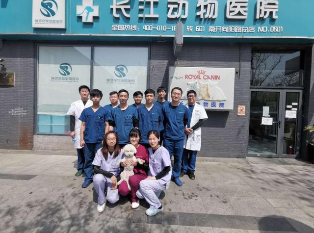 哈尔滨宠物医院，十大哈尔滨宠物医院排名（瑞派宠物医院告诉你最牛医院的正确打开方式）
