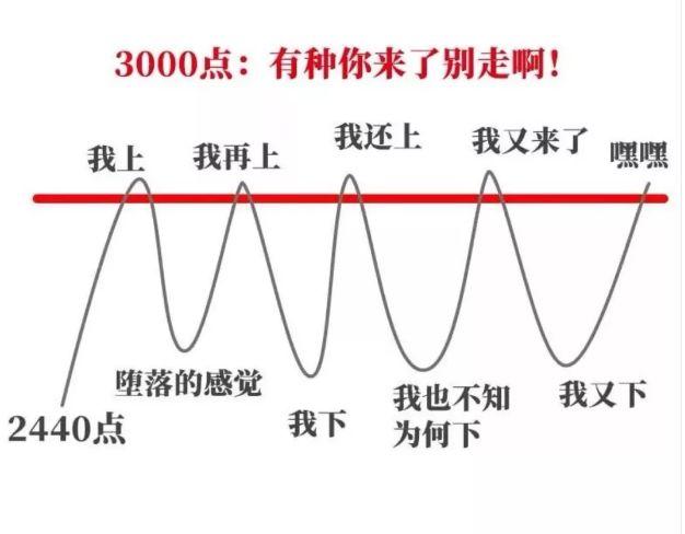 股票基金怎么配置最好，股票基金怎么配置最好的？