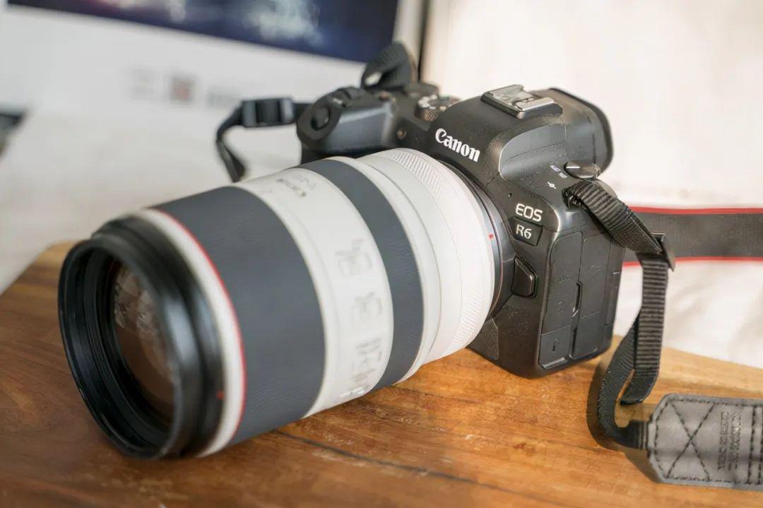 rf仔 EOS R6拍猫感悟 合适才是最好