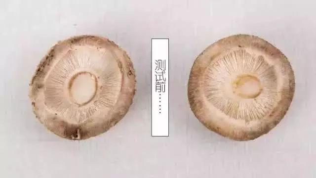 冻干粉用在护肤的哪个步骤，冻干粉免洗面膜效果怎么样（冻干粉是什么，有什么作用）