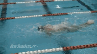 简单蝶泳练习方法，蝶泳教学步骤（揪出错误根源，对症下药）