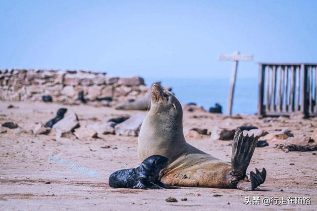 最危险的海滩，最危险的海滩在哪里（全球最危险的海岸）