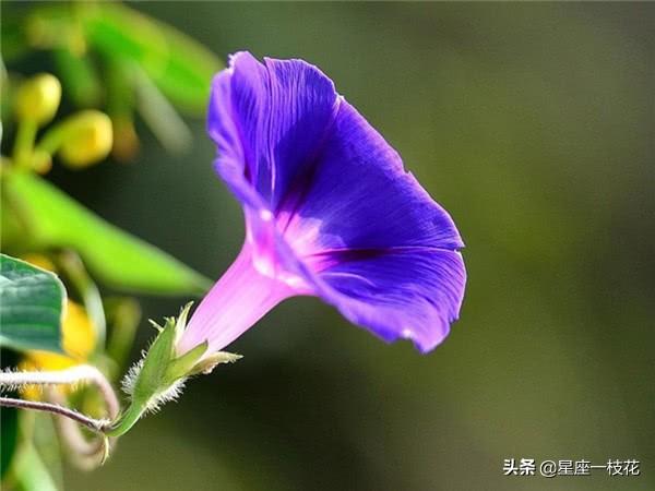 让天秤男唯一珍惜的星座，让天秤男唯一珍惜的星座女（天秤座的心思谁能懂）