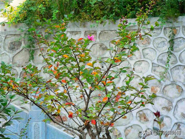 西安临潼区骊山龙背岭,骊山上看风景 西安临潼区骊山龙背岭,骊山上看风景