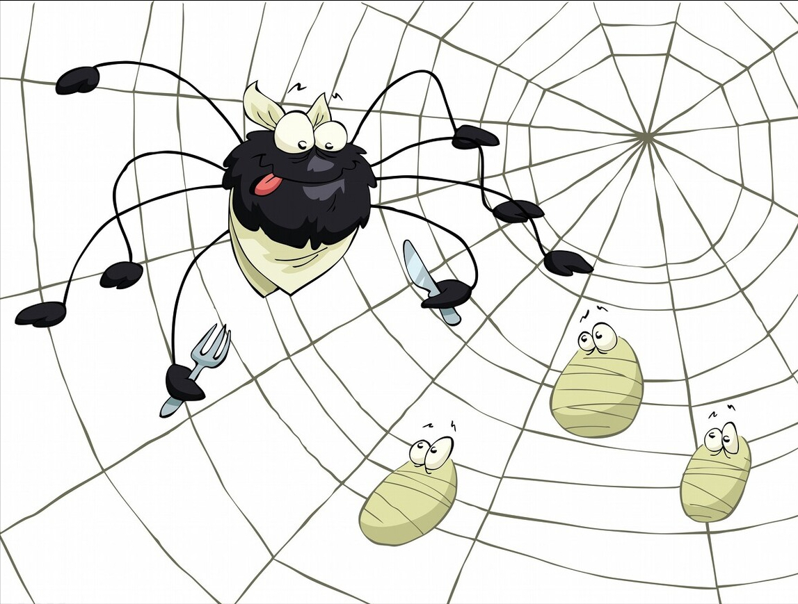 蜘蛛的特点和本领，蜘蛛的特点和本领一小段（一只蜘蛛一生能抽多长的丝）