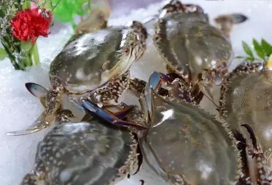 请问清炸小扒皮鱼的做法，炸小剥皮鱼的做法大全（今后再也不怕不认识海鲜了）