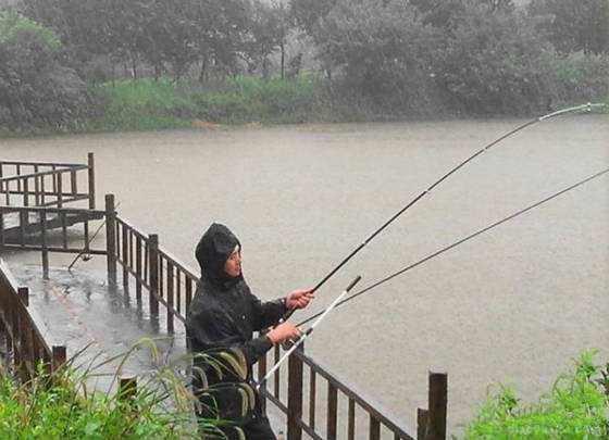 下雨天钓鱼好不好钓，下雨天钓鱼好不好钓路亚（都说雨天好钓鱼）