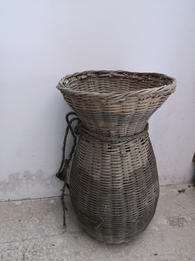 知了的叫声拟声词，知了怎么叫（它在你的家乡该怎么说）