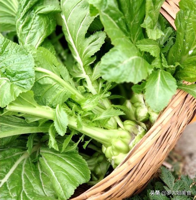 榨菜的腌制方法，重庆涪陵榨菜的腌制方法（那些咸菜就粥的记忆又回来了）