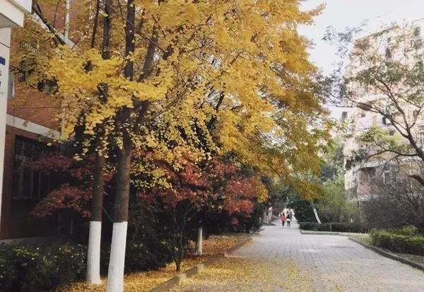 安徽三联学院地址，安徽三联学院怎么样好不好全国排名第几（<三十三>安徽三联学院）