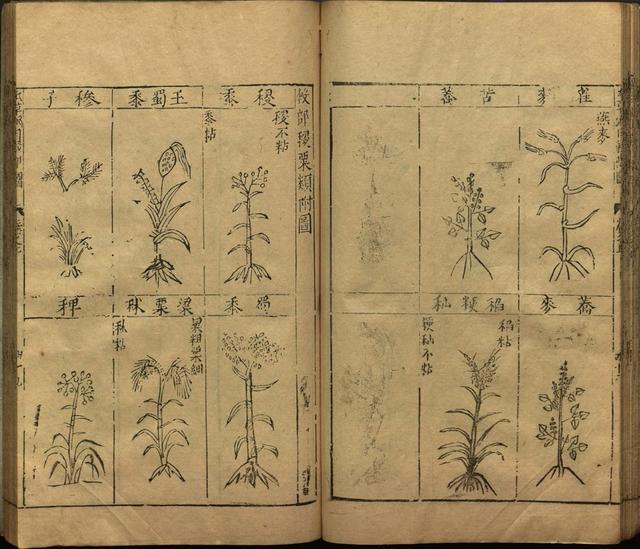 本草纲目全书带图，李时珍本草纲目全书（李时珍著《本草纲目》附图卷）