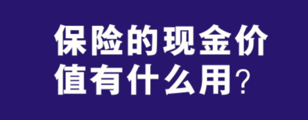 退保金是什么（谈一谈保险的现金价值）