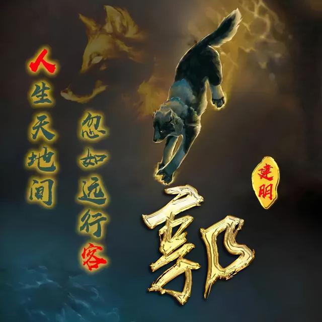 狼图片头像 凶猛 霸气 冷酷，100张姓氏霸气狼头像（100张“血性狼”姓氏头像、送给在困境中坚持梦想的你）