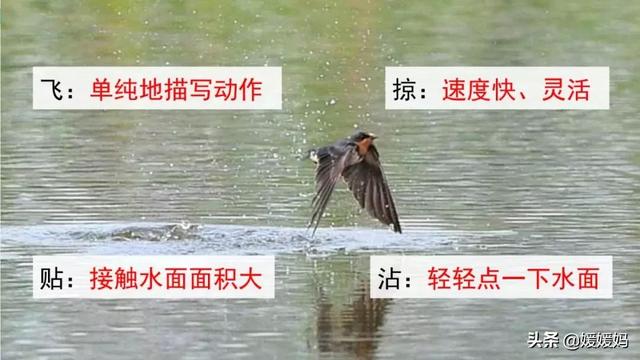 我一生中的重要抉择生字词拼音，登时的拼音（登时的拼音与意思）