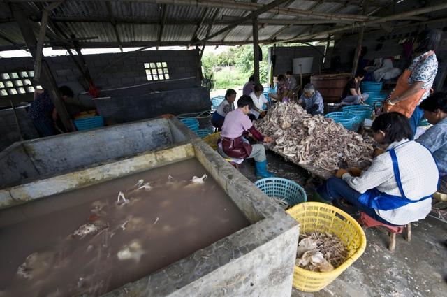 鱼翅汤怎么做，做鱼汤怎么做好吃（600元一碗鱼翅汤）