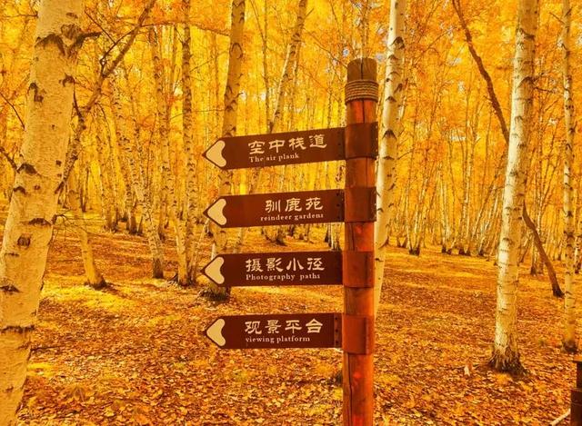 海拉尔旅游景点大全，海拉尔景点（呼伦贝尔18条旅游线路发布）