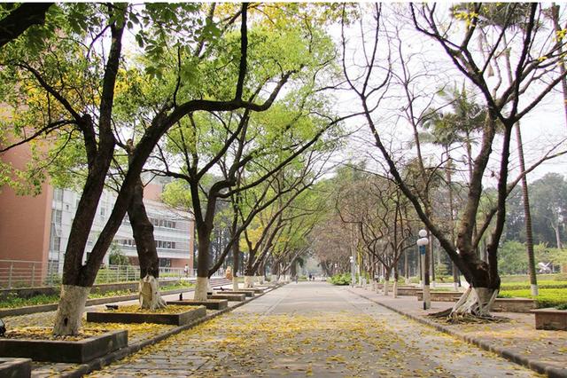 不建议报考广东外语外贸大学，2021年有没有不用通过高考就能上的大学（但实力不输部分\