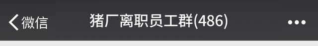 好听的微信群聊名称，最火微信昵称（80%都让人脸红心跳）