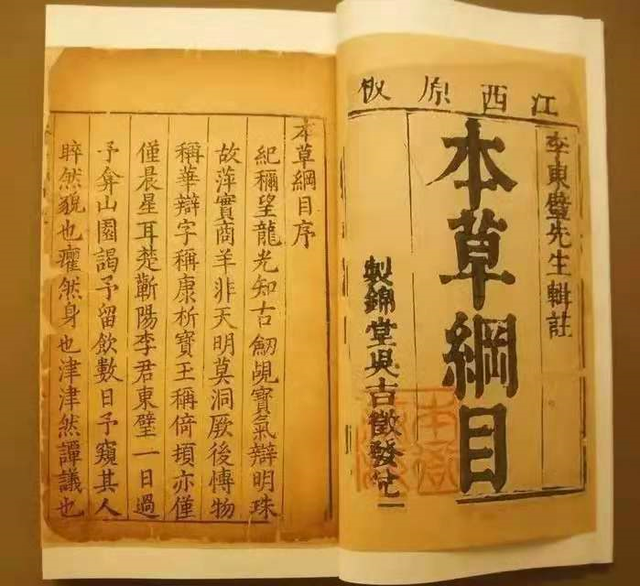 猫肉能吃吗，猫肉能吃吗,有什么禁忌（李时珍说猫肉不佳）