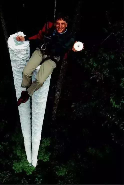 人生天地之间,若白驹过隙。珍惜当下!