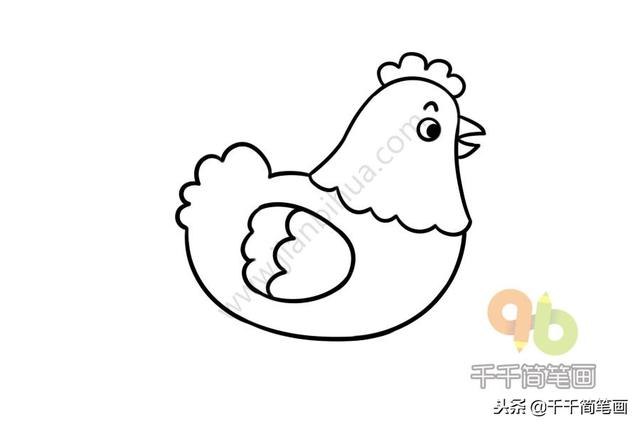 公鸡母鸡简笔画，公鸡母鸡简笔画彩色（一分钟学会画大公鸡和大母鸡）