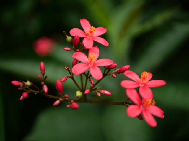 如何评价松下的GX9，松下gx9和gx10（让所见即所得：松下LUMIX）