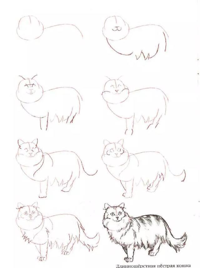 简笔画小猫教程，小猫简笔画一步一步教（8步教你学会画各种猫简笔画）