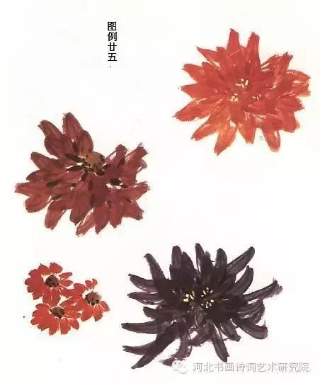 花的画法——菊花的画法，菊花是怎么画（菊花画法大全）