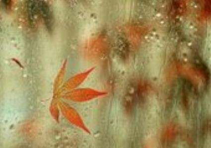 半路夫妻是什么意思，什么叫半路夫妻（半路夫妻，靠不住？真的吗）