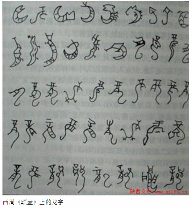 龙字的演变过程，龙字的演变过程及故事（中国“龙”字演变）