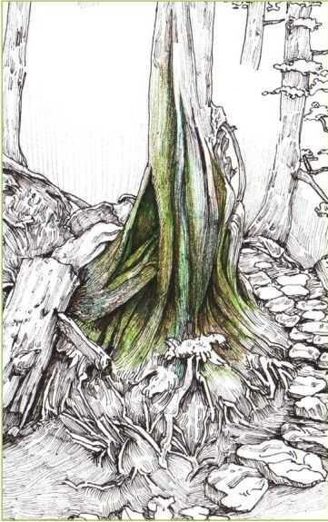 马克笔绘画教程风景画，马克笔绘画教程入门（适合初学者学习的彩铅风景画步骤教程）