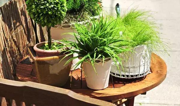 碳酸氢钠在医学上有什么用途，碳酸氢钠在医学上有什么用途和作用（小苏打原来有这么多好处）