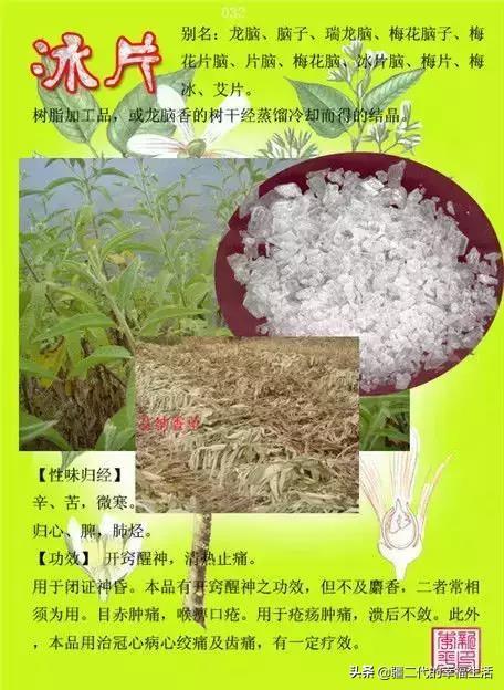 常见中草药图谱，中草药经典图谱（让你知道常用药都长啥样）