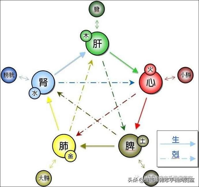 水生木是什么意思，五行水是什么意思是什么（《金木水火土五行查询表》）