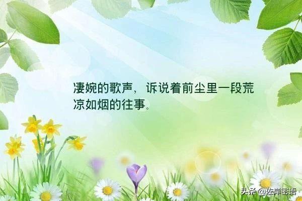 愿彼岸繁华似锦，悠悠的时光如跌落的瓷
