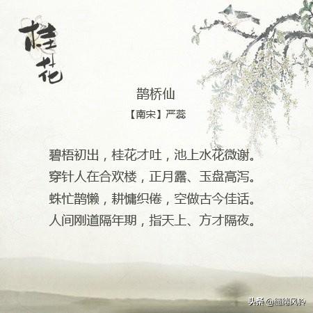 关于桂花的诗句，关于桂花的诗句 古诗（自是花中第一流——九首桂花诗词）