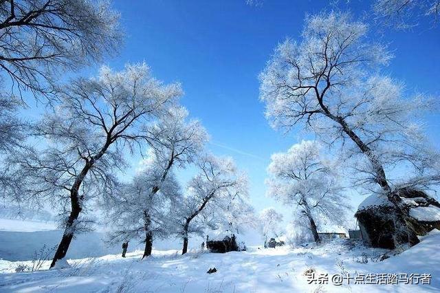 吉林雾凇景色奇特三九严寒，冰天雪地中的美景——吉林雾凇