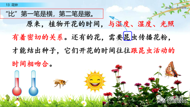 芬芳迷人的意思，芬芳迷人是什么意思解释一下（三年级下册语文第13课《花钟》图文详解及同步练习）