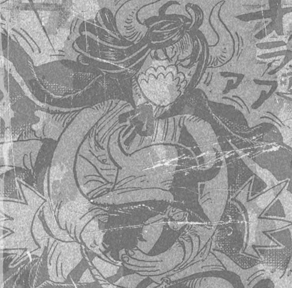 982是什么意思（海贼王982话全图情报+大量补充翻译）