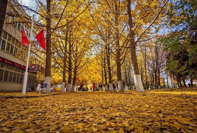 辽东学院宿舍条件怎么样，辽东学院宿舍几人间（辽宁省普通高等院校）