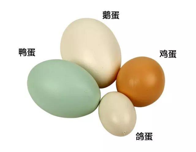 燕窝是什么功效，燕窝有哪些功效和营养（长期吃能调理9大疾病）