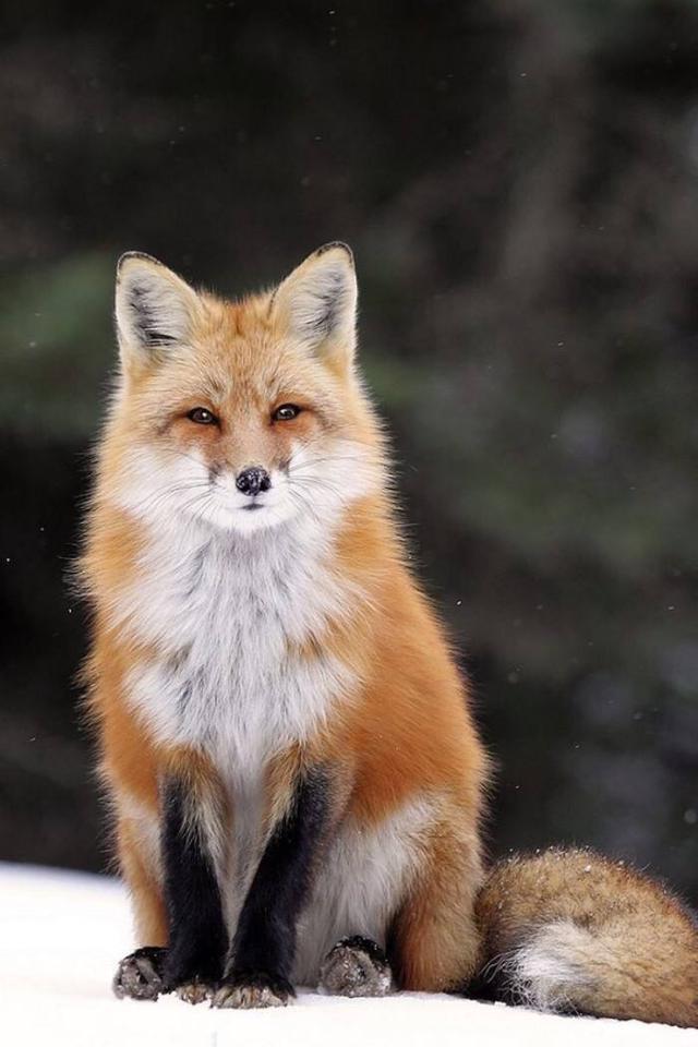 怎么验证自己是出道仙，怎么验证自己是出道仙还是道士（简单说说关于出马仙的那些事）