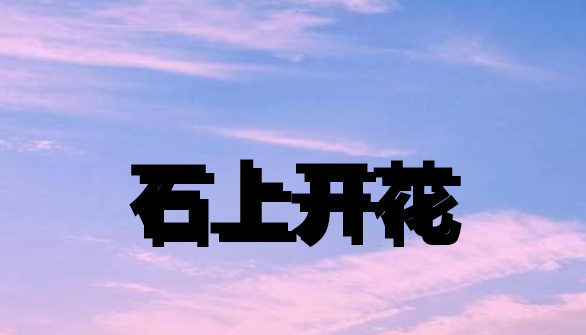 ppt表格线条怎么变颜色，ppt怎样修改边框颜色（PPT中如何设置好看的线条字体）